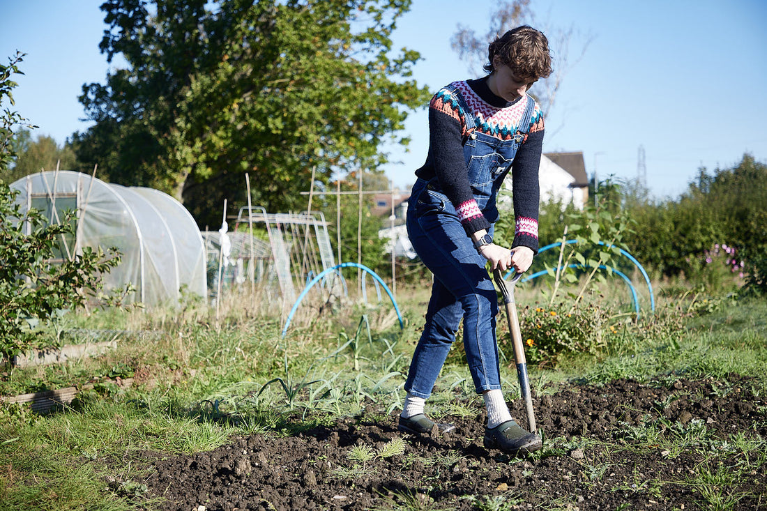 Sow the Seeds of Summer!