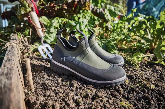 Give your tender veggies their summer start!