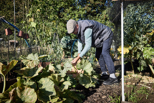 The Simple Power of Deadheading.