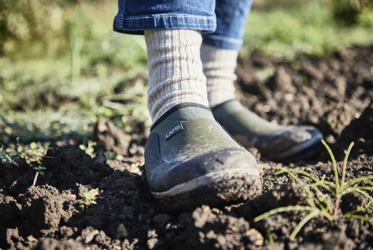 The 5 Best Seeds to Plant in March