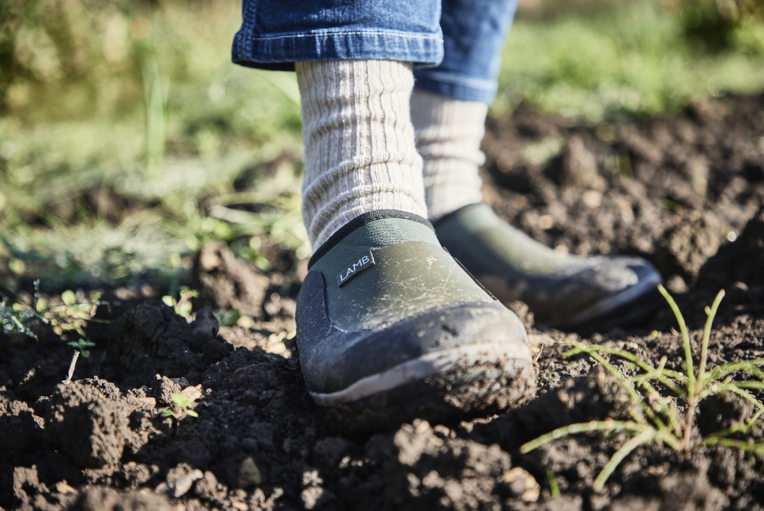 The Power of Succession Sowing.
